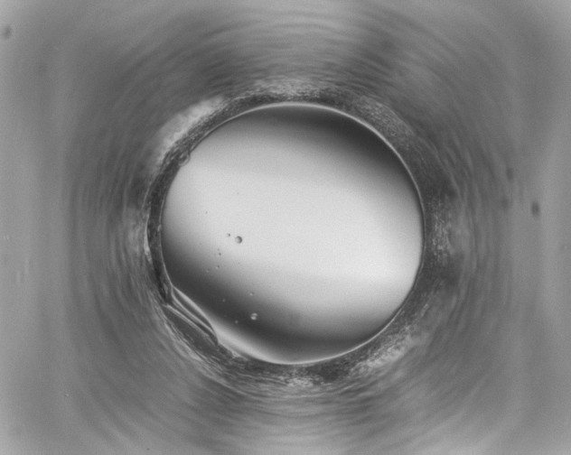 X0000060750256200511101123