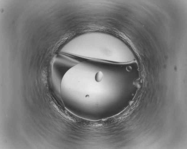 X0000060750257200511101123