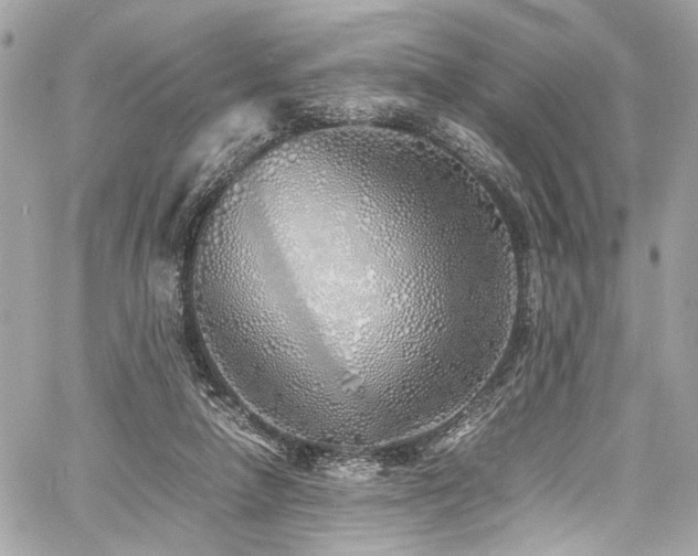 X0000060750258200511101123