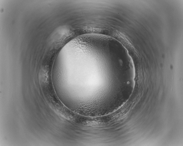 X0000060750259200511101123