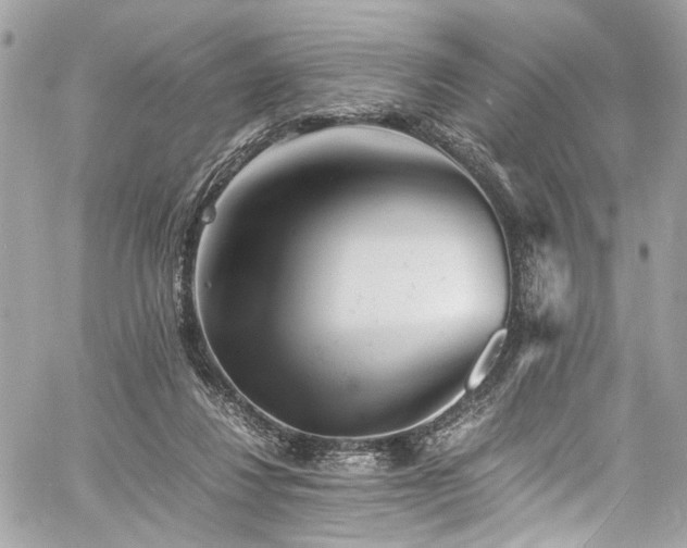 X0000060750260200511101123