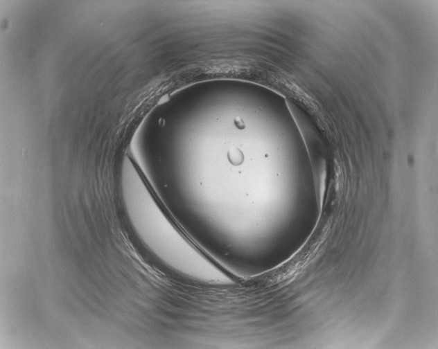 X0000060750261200511101123