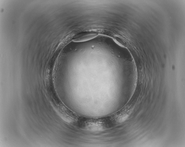 X0000060750263200511101123