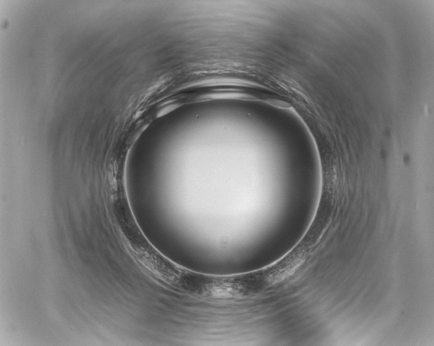 X0000060750264200511101123