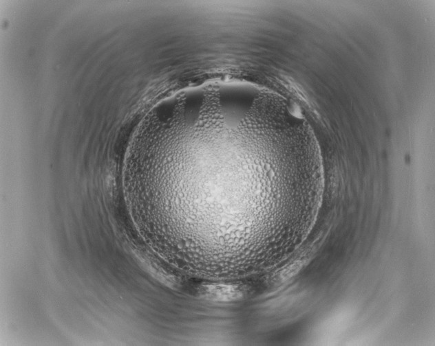 X0000060750265200511101123