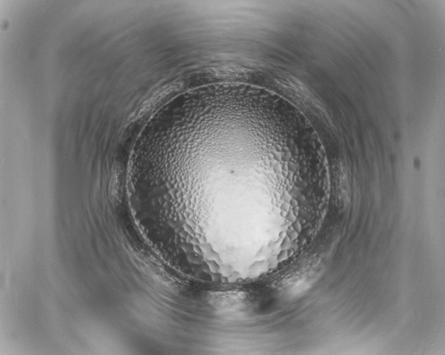 X0000060750266200511101123