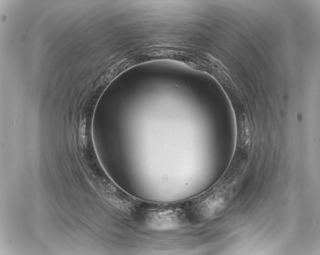 X0000060750267200511101123