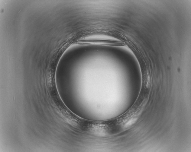 X0000060750268200511101123