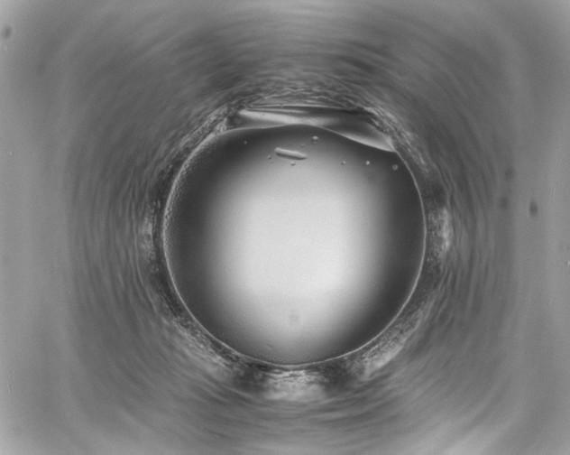 X0000060750269200511101123