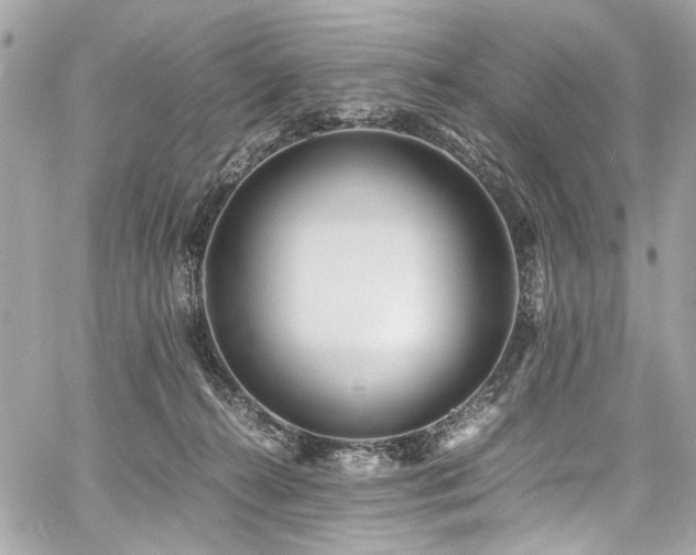 X0000060750272200511101123