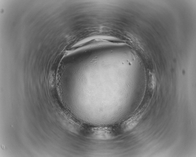 X0000060750273200511101123