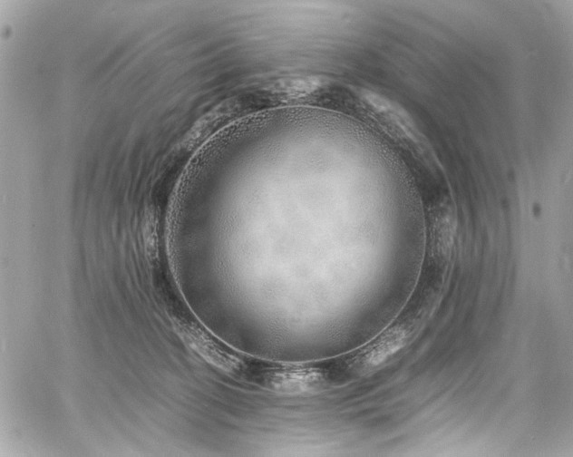 X0000060750274200511101123