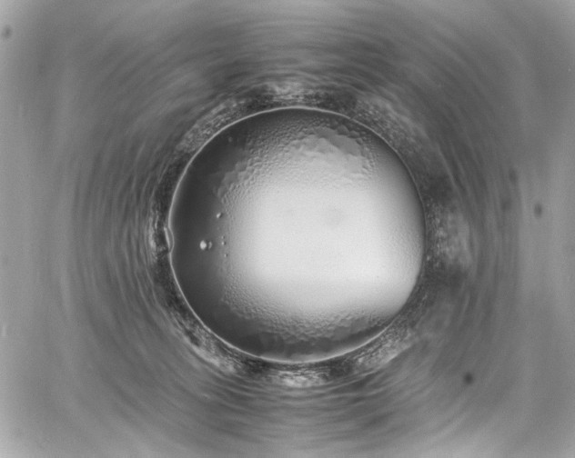 X0000060750275200511101123