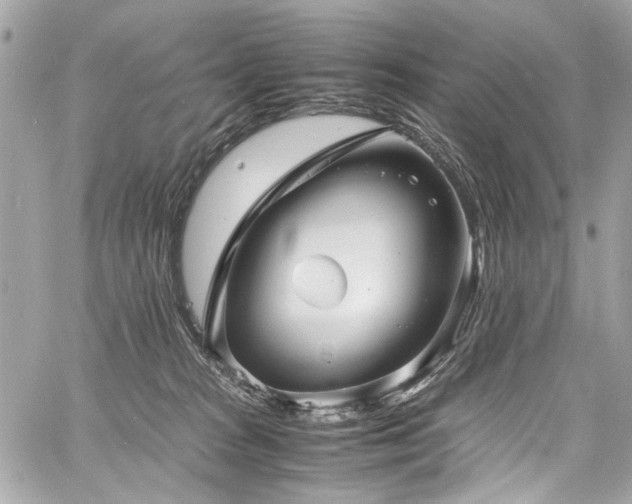 X0000060750277200511101123