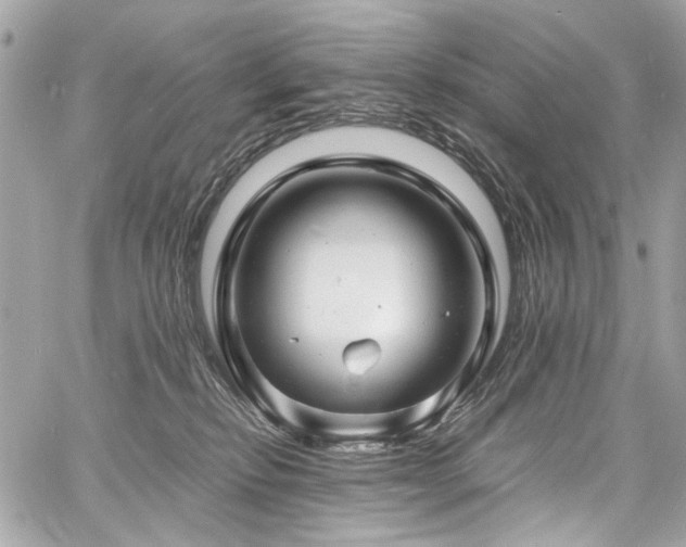 X0000060750278200511101123