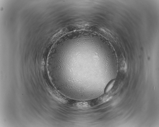 X0000060750279200511101123