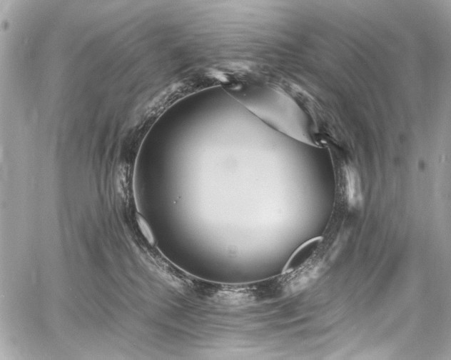 X0000060750280200511101123