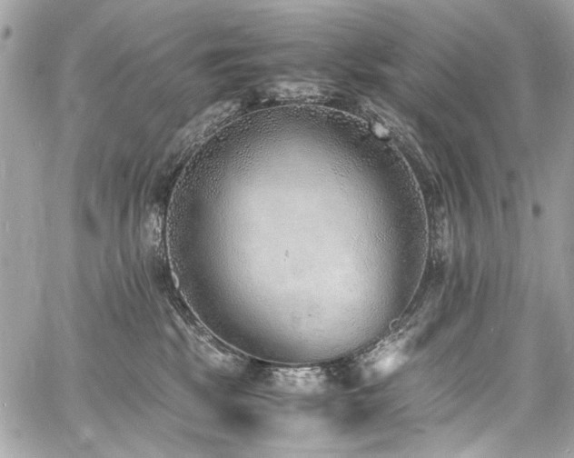 X0000060750281200511101123