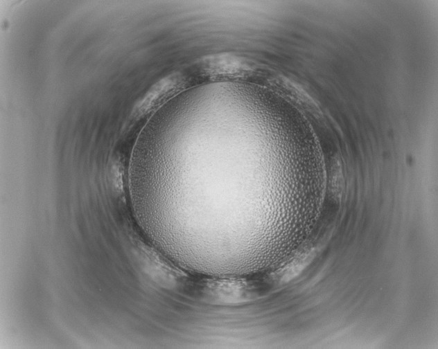 X0000060750282200511101123