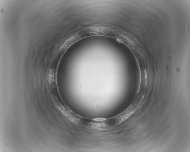 X0000060750284200511101123