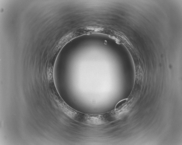 X0000060750285200511101123