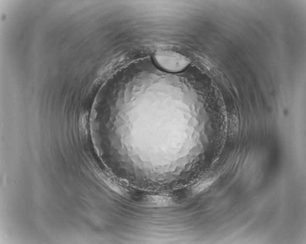 X0000060750286200511101123