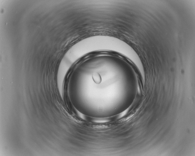 X0000060750287200511101123