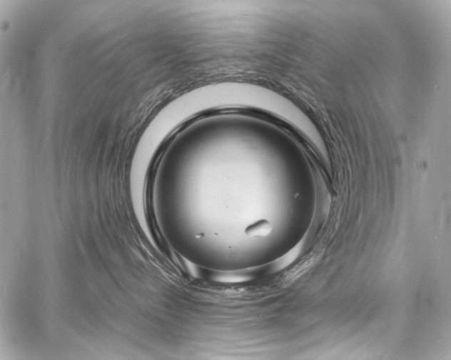 X0000060750288200511101123