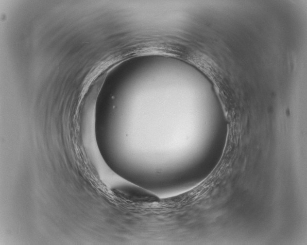 X0000060750289200511101123