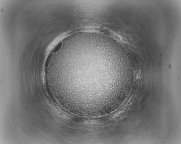 X0000060750294200511101123