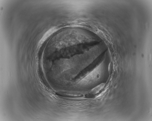 X0000060750295200511101123