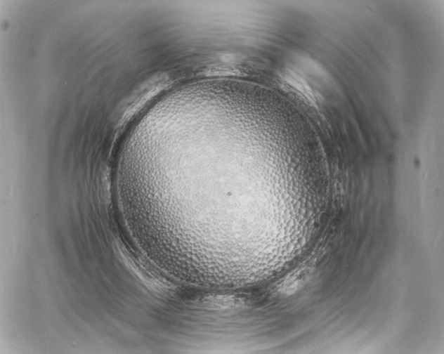 X0000060750298200511101123