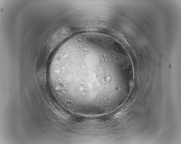 X0000060750299200511101123