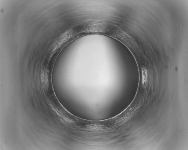 X0000060750300200511101123