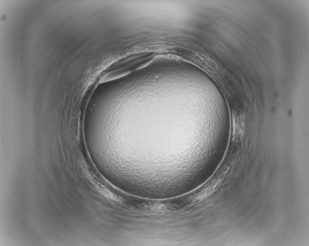 X0000060750301200511101122