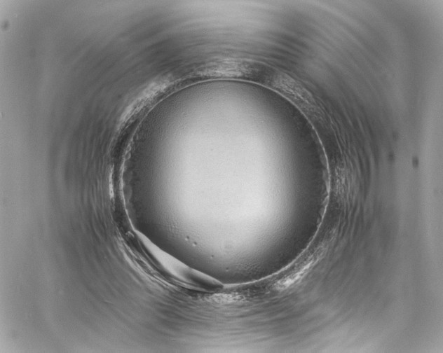 X0000060750302200511101122