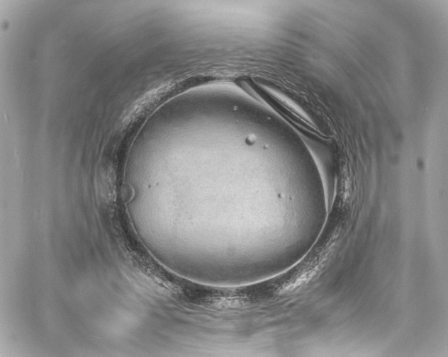 X0000060750303200511101122