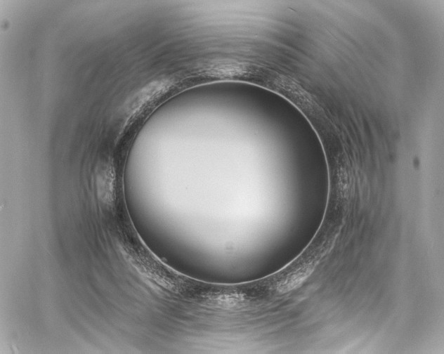 X0000060750304200511101122