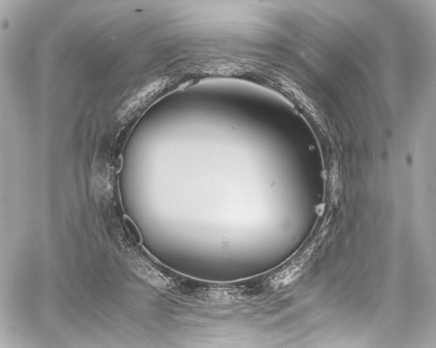 X0000060750305200511101122