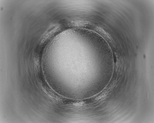 X0000060750306200511101122