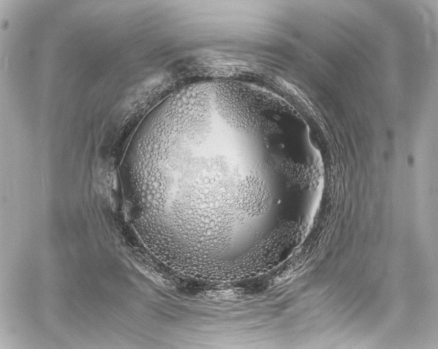 X0000060750307200511101122