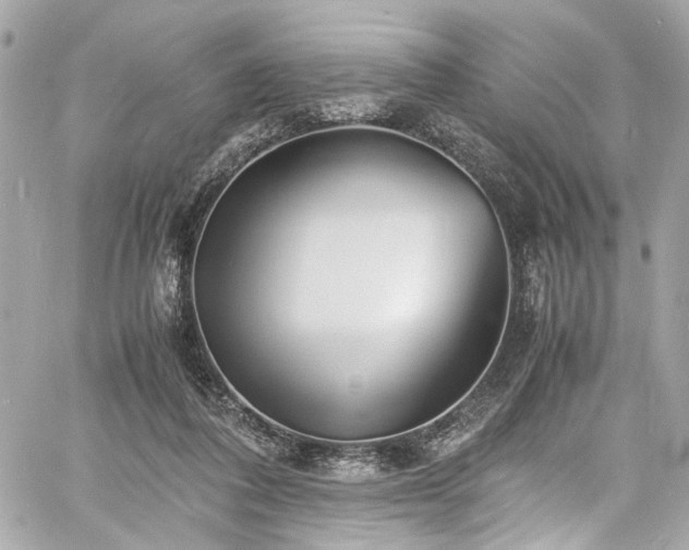 X0000060750308200511101122