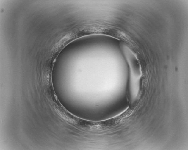 X0000060750309200511101122