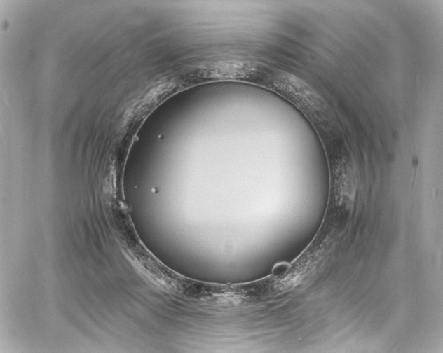 X0000060750310200511101122