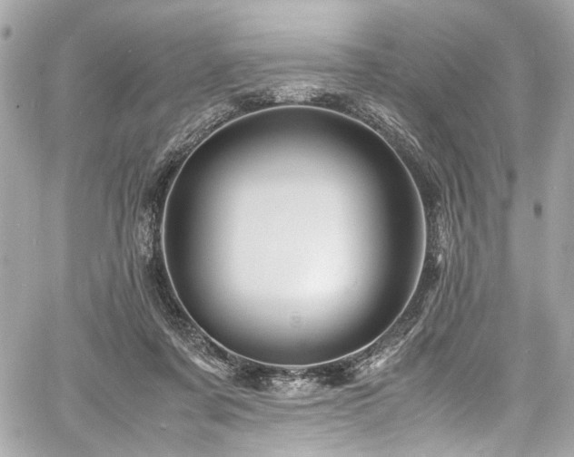 X0000060750311200511101122