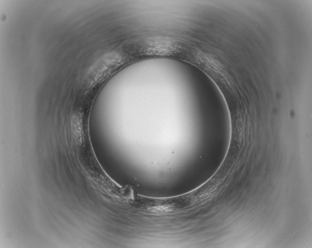 X0000060750312200511101122