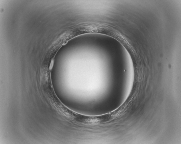 X0000060750313200511101122