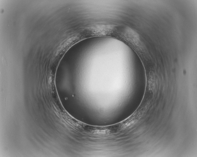 X0000060750314200511101122