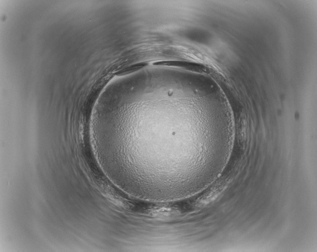 X0000060750315200511101122