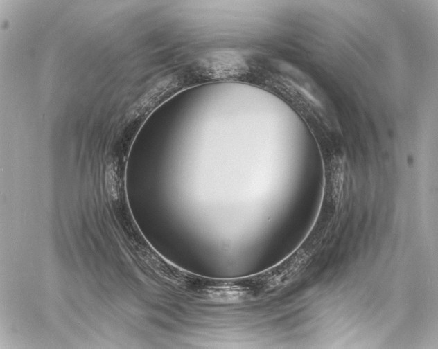 X0000060750316200511101122